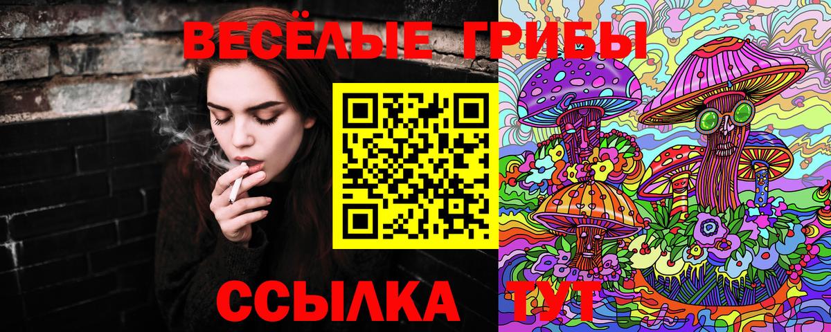 Псилоцибиновые грибы прущие грибы Домодедово
